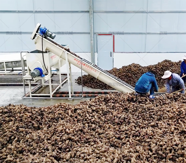 鼎发广西河池芭蕉芋淀粉生产线运行现场